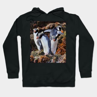 Snares Crested Penguins Hoodie